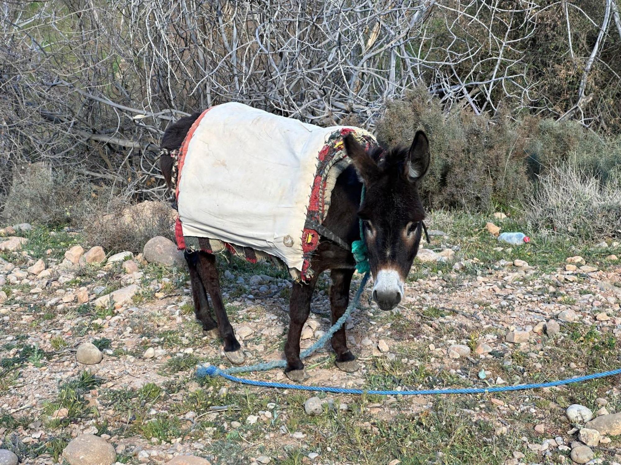 Dar Mezyana Dades Hotel Aït Idaïr Eksteriør billede